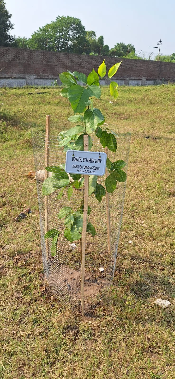 Field Photo 2