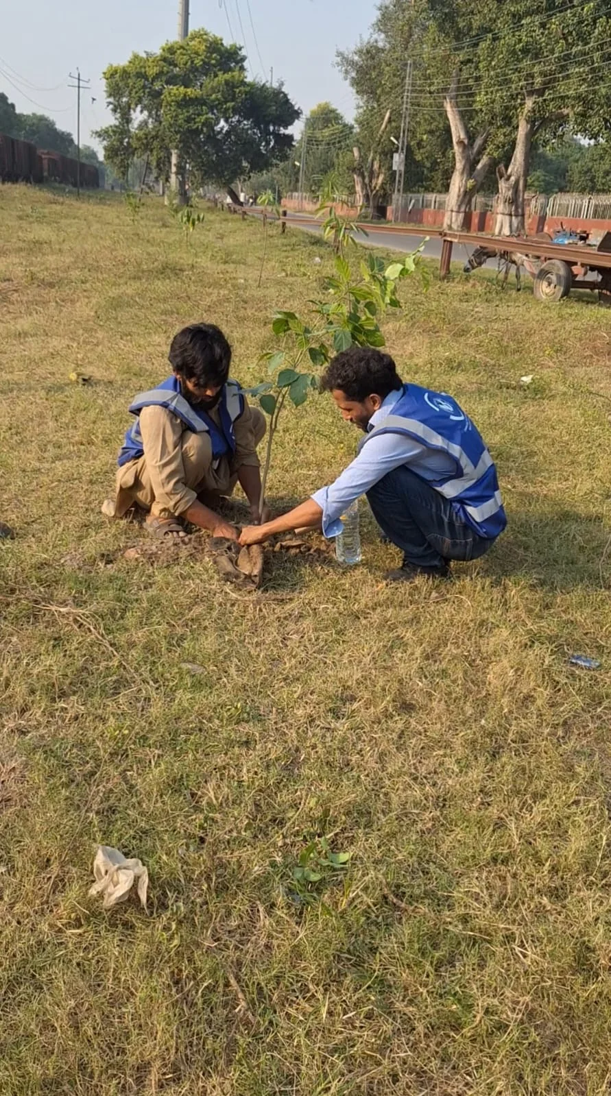 Field Photo 3