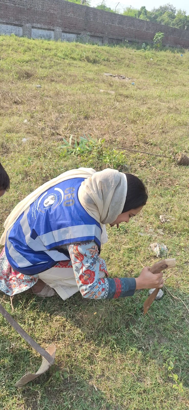 Field Photo 9
